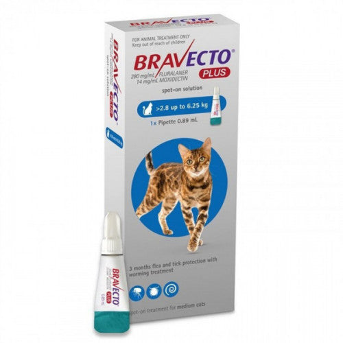 Bravecto Plus 250mg Spot-On Cats (2.8Kg – 6.25Kg)