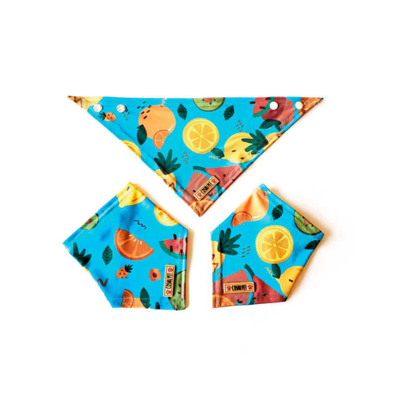 CoshuPet Bandana Fruit