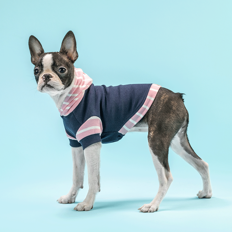 Hot Dogz - Baby Pink Stripes Hoodie Talla XS