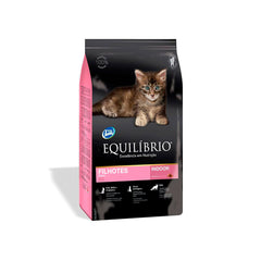 Equilibrio Kittens - Gatitos 1.5kg